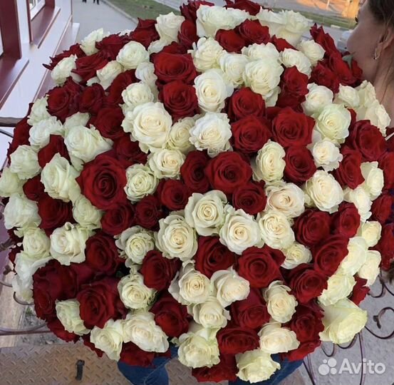 101 роза букеты цветы