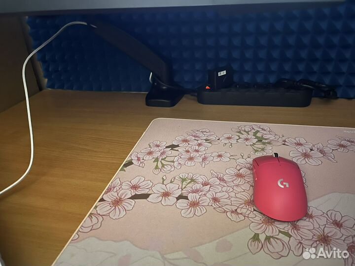 X-ray pad aqua control 2 Sakura