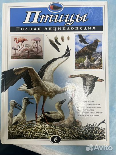Птицы. Полная энциклопедия
