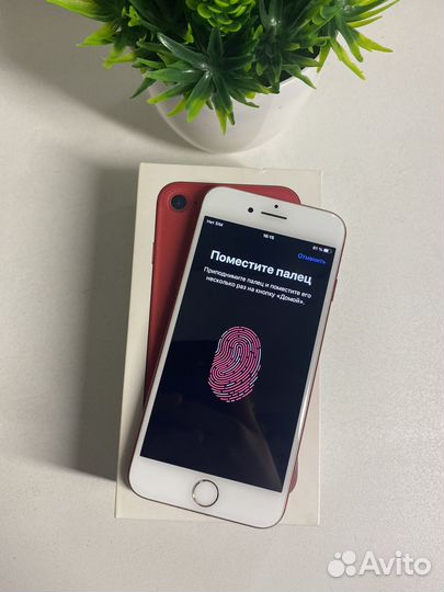 iPhone 7, 256 ГБ