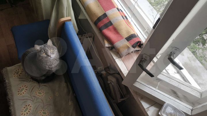 2-к. квартира, 54 м², 2/5 эт.