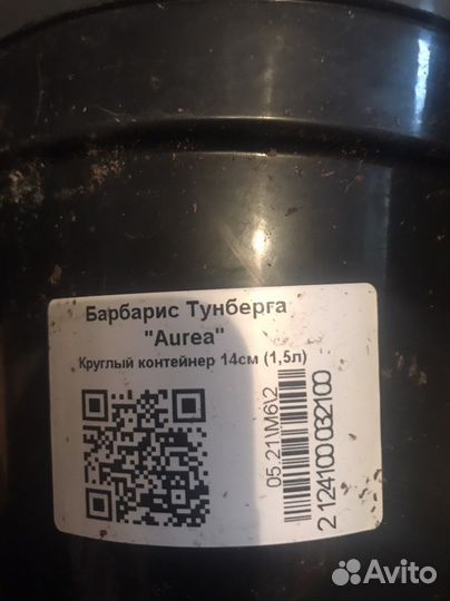 Горшок для цветов пластиковый