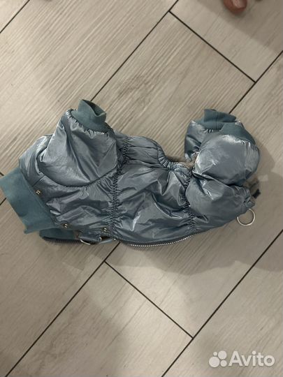 Одежда для маленьких собак зимняя