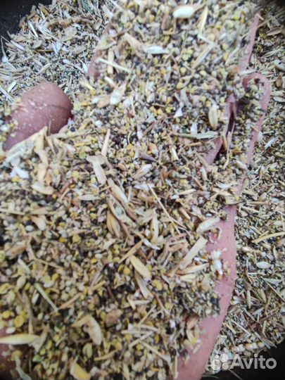 Рапс колотый,дроблёный