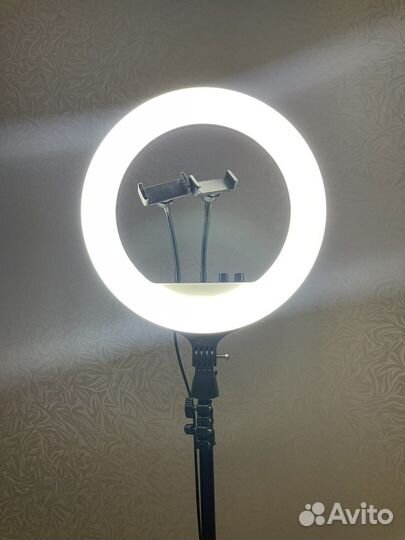 Кольцевая лампа со штативом RL-14