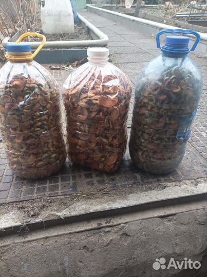 Сушка из яблок ароматная, сладкая