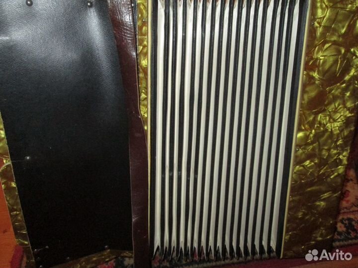 Аккордеон Sibylla Brand