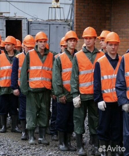 Требуются разнорабочие с ежедневной оплатой