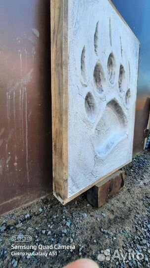 Отпечаток лапы медведя