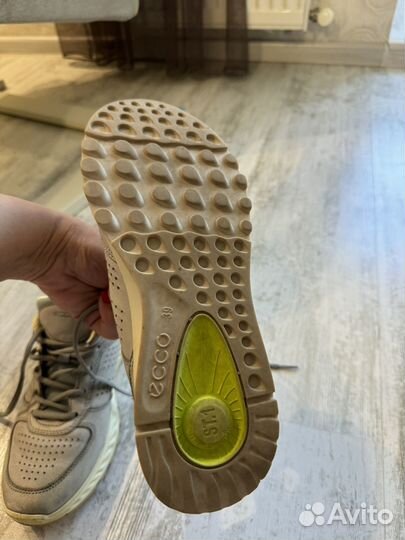 Кроссовки женские летние кожа Ecco