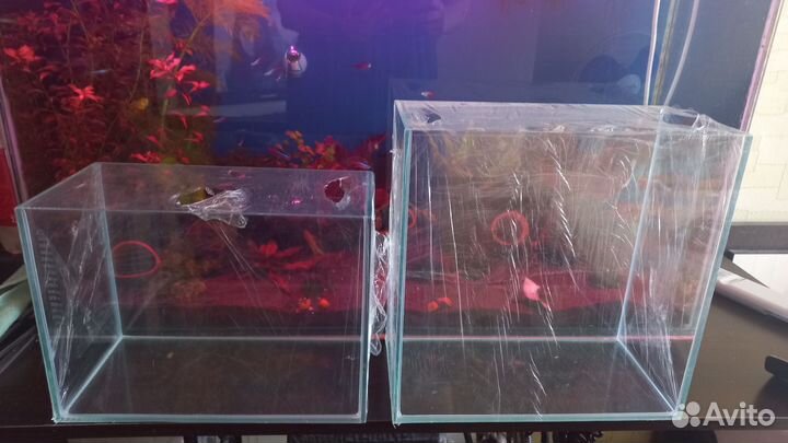 Аквариум и декор