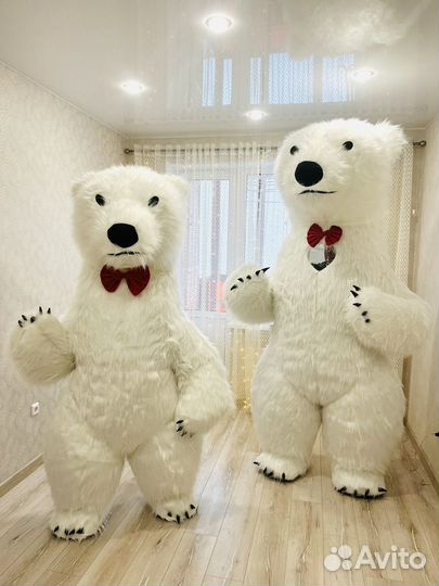 Белый Медведь Аниматор