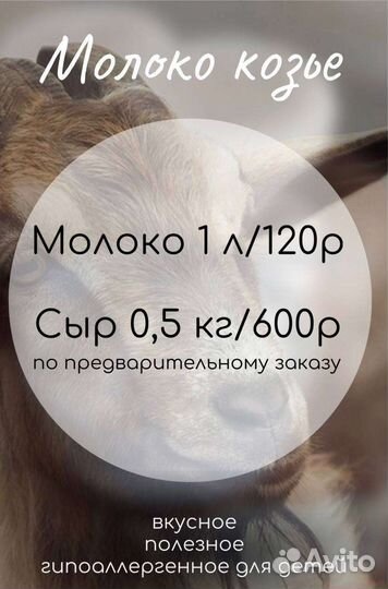 Молоко козье, сыр козий