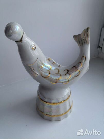 Рыбка Хайта