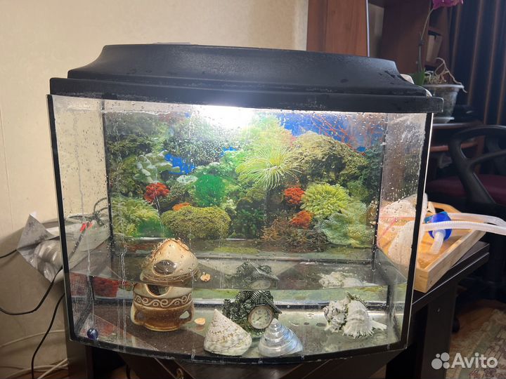 Аквариум со светом,фильтром,совком и всеми