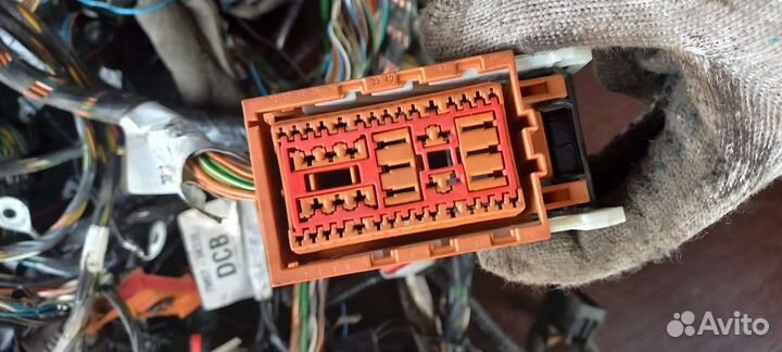 Проводка - комплект. Форд, фокус - 2. Рестайлинг