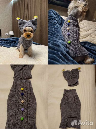 Вязаная одежда на заказ для собачек и кошек