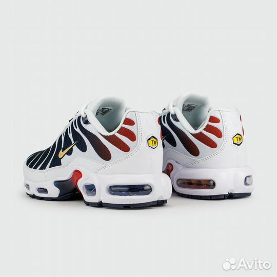 Кроссовки Nike Air Max Plus Tn