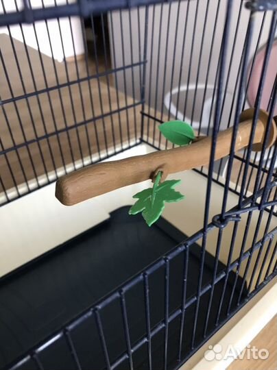 Клетка вольер для птиц