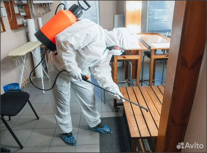 Помогу избавиться от тараканов, клопов, муравьев