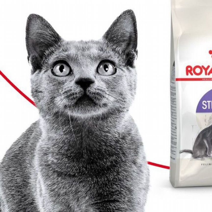 Royal Canin Sterilised 37, 4 кг для кошек