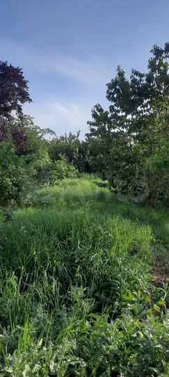 Дом 67,7 м² на участке 5,01 га