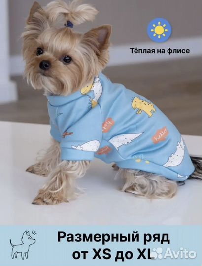 Толстовка для собак