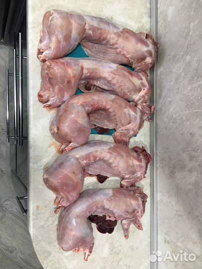 Мясо кролика
