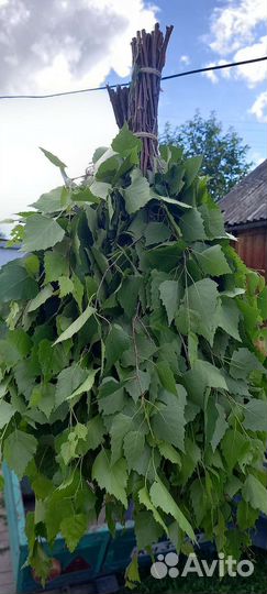 Веники для бани берёзовые