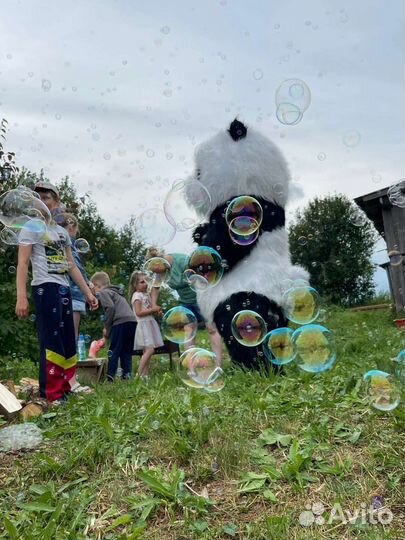 Лис, Мишка и Панда на праздник