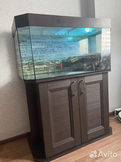 Террариум для красноухой черепахи