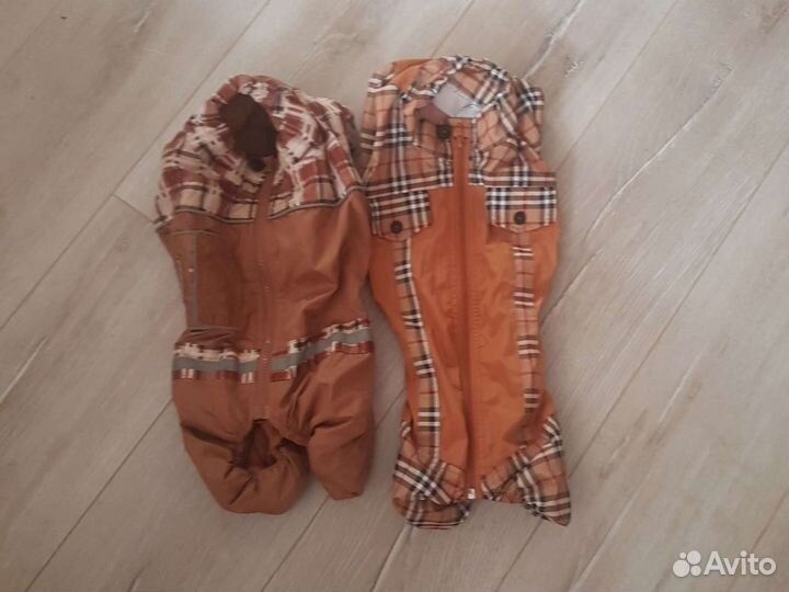 Костюмчики для таксы(девочки)