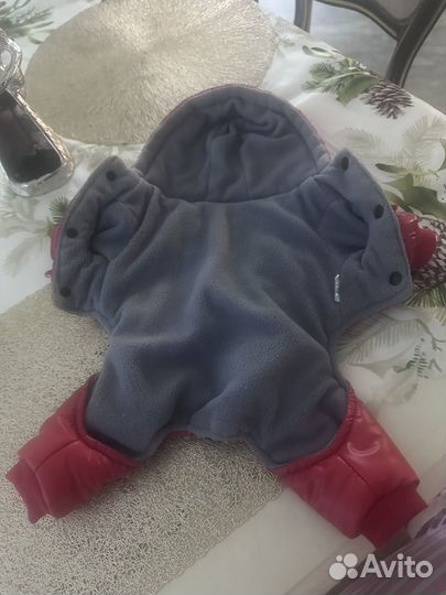 Зимний комбинезон для маленькой собаки