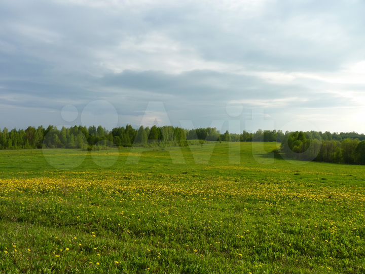 Участок 48,23 га (СНТ, ДНП)