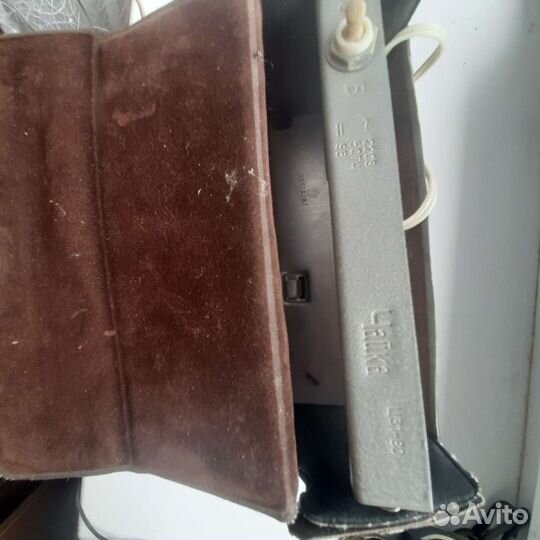 Вспышка Чайка