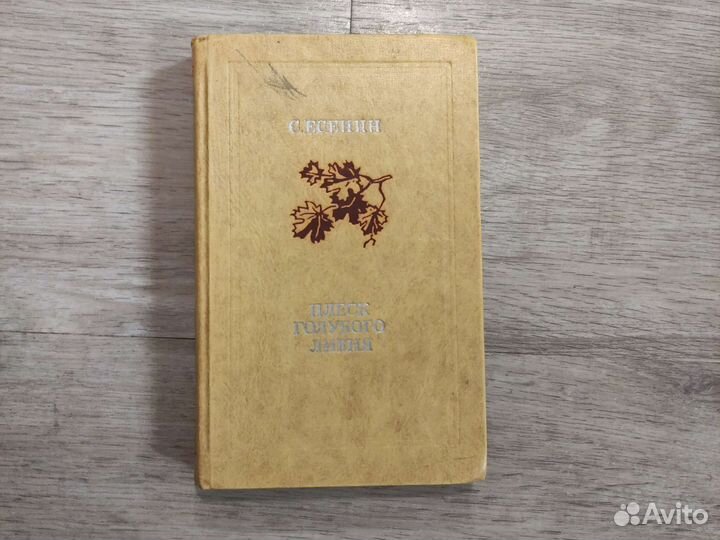 С. Есенин Плеск голубого ливня