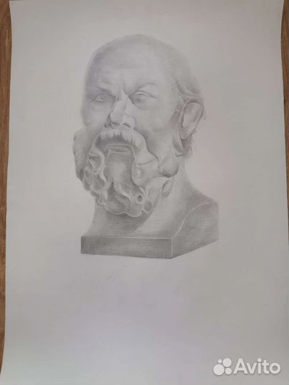 Академический рисунок. Сократ