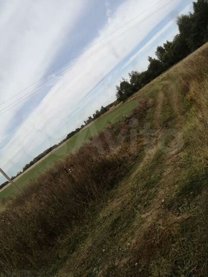 Участок 56 га (СНТ, ДНП)