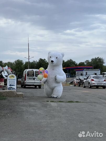 Медведь мишка гигант