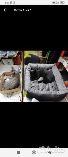 Лежанка для собак