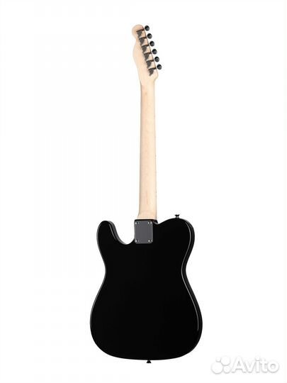 Электрогитара Telecaster HEG350BK SS Homage