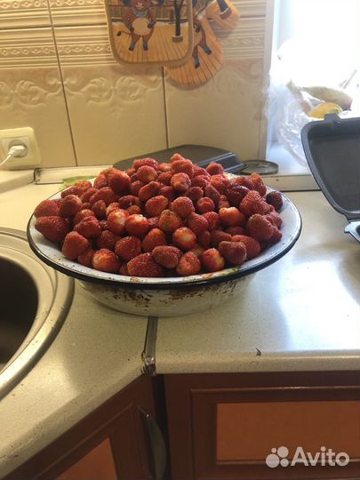 Продам рассаду клубники