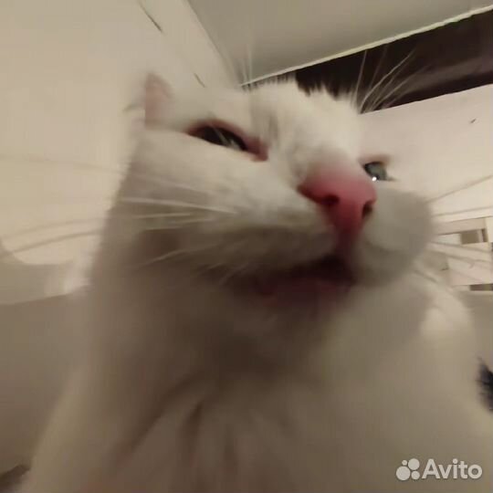 Рисунки на бумаге под заказ