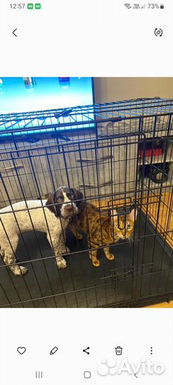 Клетка для собаки или кошки