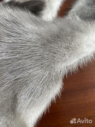 Шкурки норки