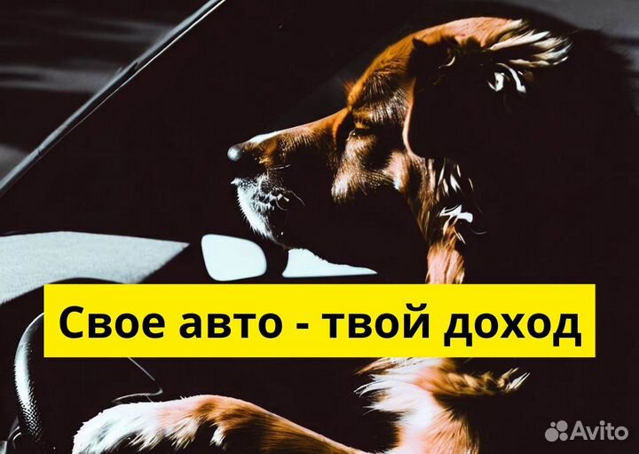 Ищем водителей Яндекс GO на личном авто