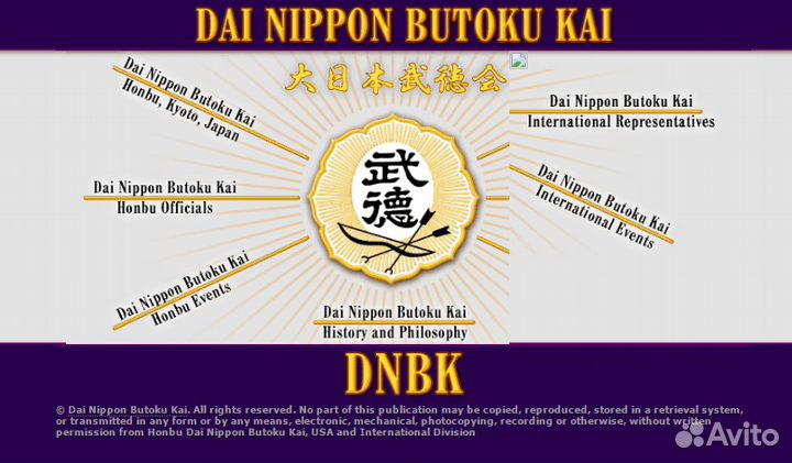 Тренер по Айкидо и Джиу-джитцу