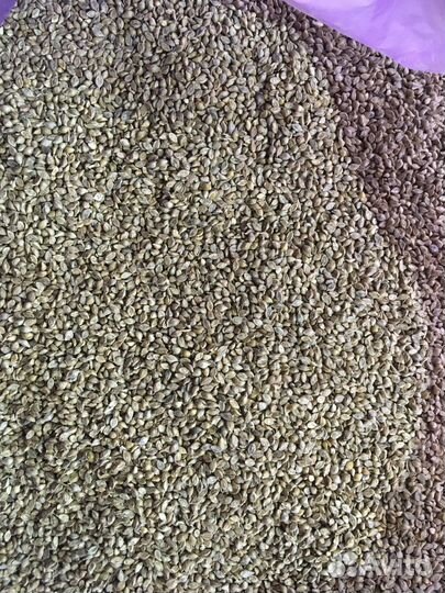 Корм разнотравье,Для птиц-канареек,лесных,попугаев