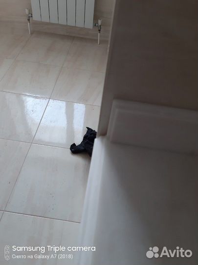 Трельяж в ванную комнату