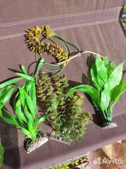 Искусственные растения для аквариума